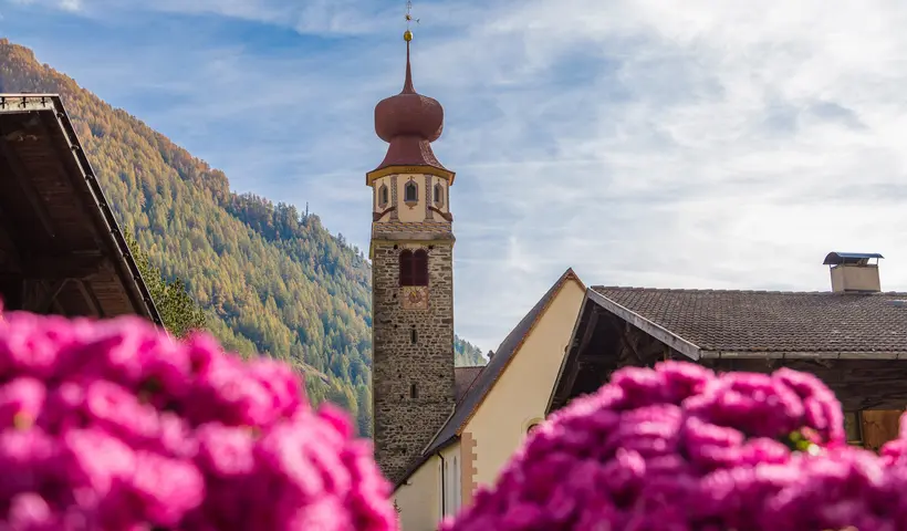 Vorräte sammeln – sommersatt vor Winterkälte