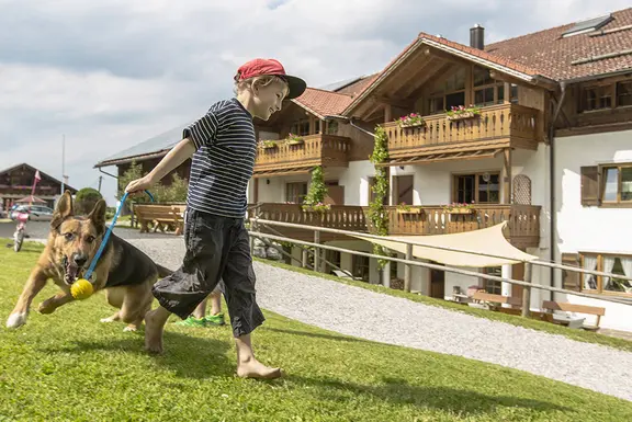 Im Urlaub auf den Hund gekommen