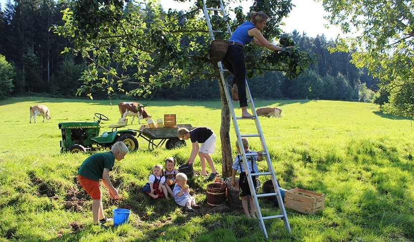 Einblicke ins echte Leben