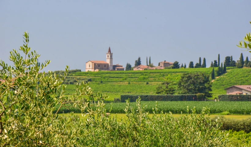 Wein-Erlebnisse rund um den Gardasee