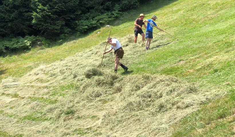 Naturerlebnisse in den Wanderhotels