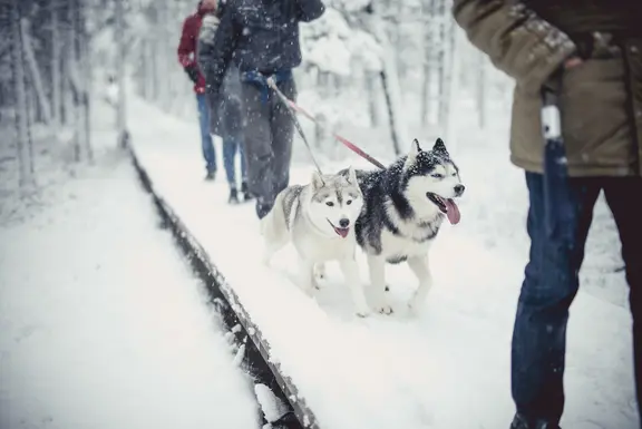 Winterliche Aktivitäten in Estland