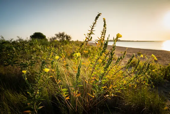 Green Tourism in Caorle