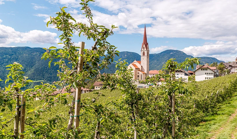 Das Wandern ist des Sommers Lust