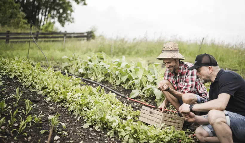 Green Holidays mit den Wanderhotels