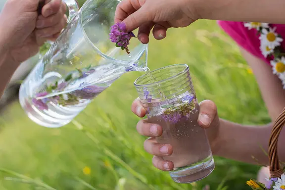 Sommerfrische aus dem Glas