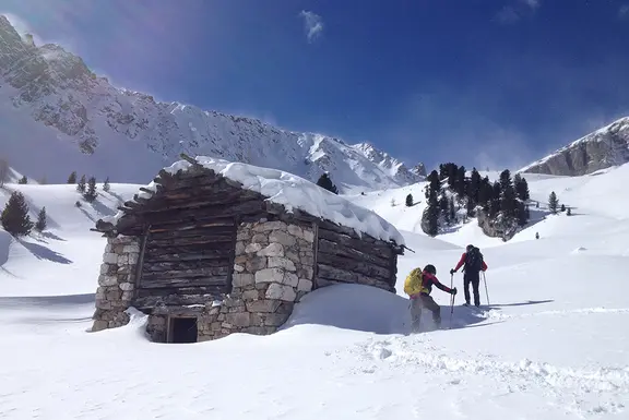 Quattro neve - Winterdienst mal vier