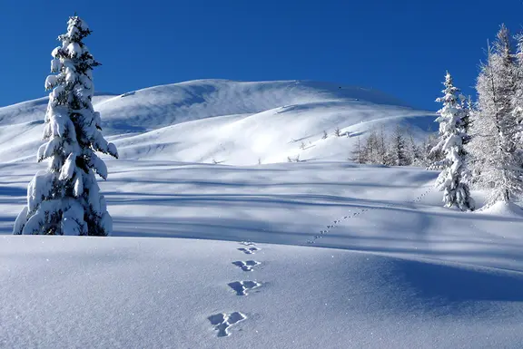 Die drei schönsten Schneetouren im Lesachtal