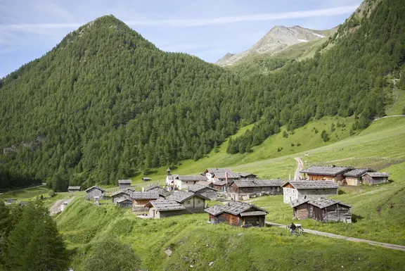 Ab auf die Alm