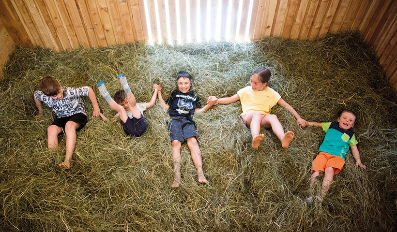 Echt cool: Naturdetektivcamps in den Familienhotels Südtirol