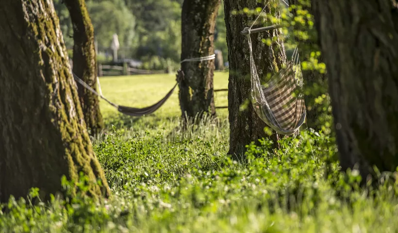 Wildnisurlaub statt Luxusurlaub