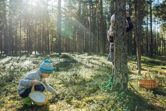 Herbstgenüsse in Estland 