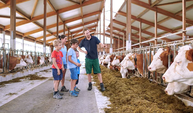 Bauernhofurlaub in Bayern: alles Fake News!