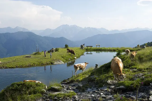 Wo die Stille wohnt - einsame Touren in den Alpen