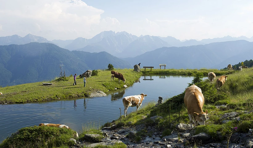 Wo die Stille wohnt - einsame Touren in den Alpen