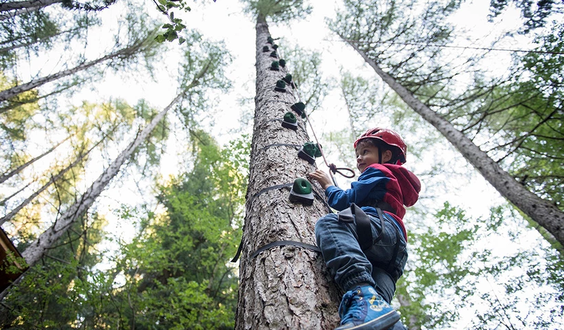 Echt cool: Naturdetektivcamps in den Familienhotels Südtirol