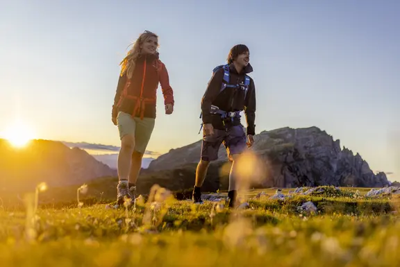 Vorräte sammeln – sommersatt vor Winterkälte