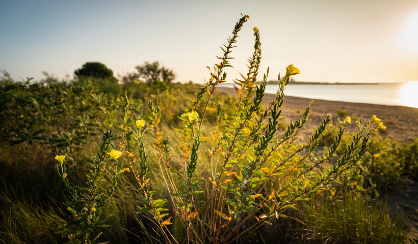 Green Tourism in Caorle