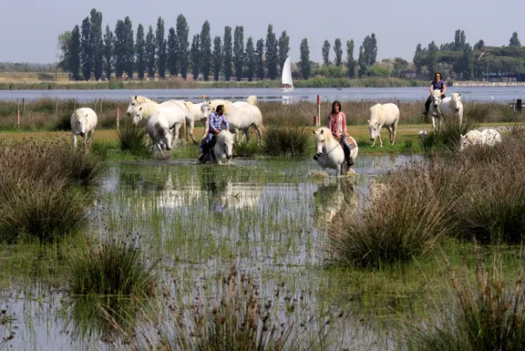 Mobiler Urlaub mit Naturerlebnis in Comacchio