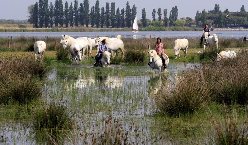 Mobiler Urlaub mit Naturerlebnis in Comacchio