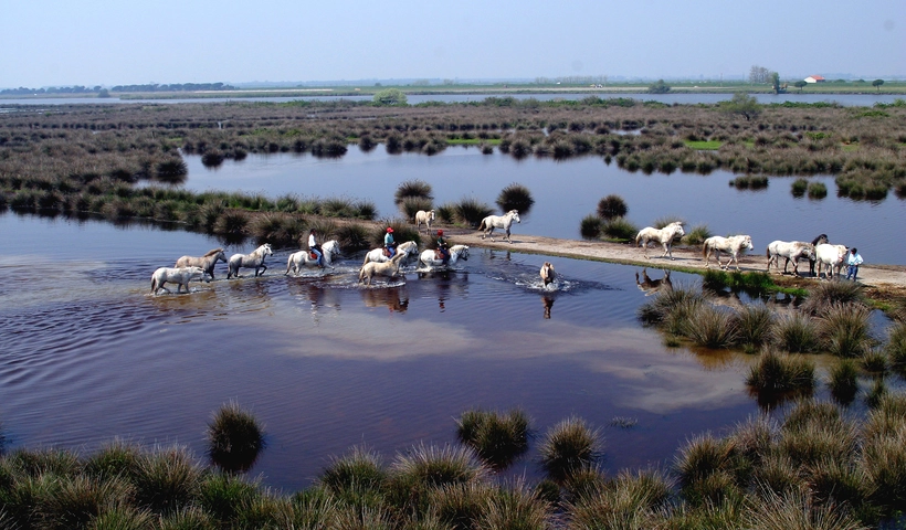 Comacchio: Authentischer Urlaub an der Adria