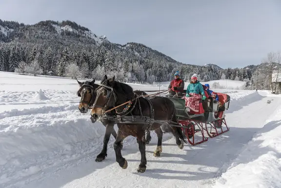 Eiszeit am Weissensee